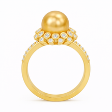 10 mm Champagne tone South Sea Pearl 14K Solid Gold Pearl Ring